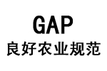 GAP